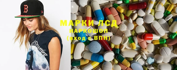 прущие грибы Покачи