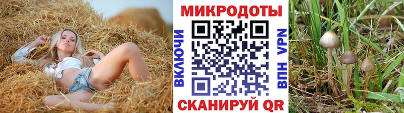 Галлюциногенные грибы Psilocybe  ссылка на мегу сайт  Гуково  наркошоп 